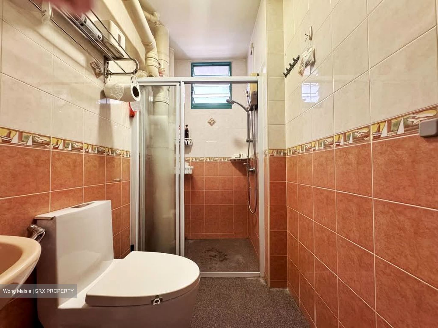 Blk 484 Segar Gardens (Bukit Panjang), HDB Executive #599080121